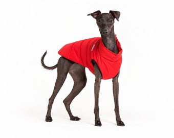 Italian Greyhound Winter Coat, Warm Water-Resistant Puffer Jacket for Iggy