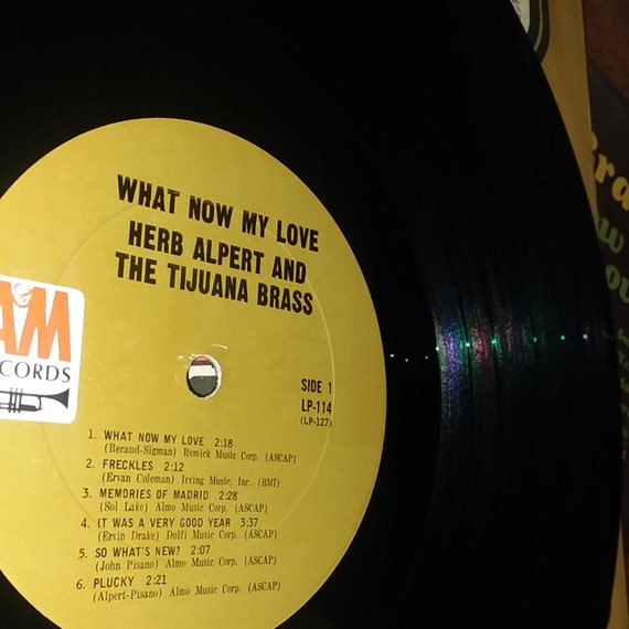 半額　THE MUSIC LPレコード 半額 THE MUSIC LPレコードの通販はau PAY マーケット - 輸入雑貨の