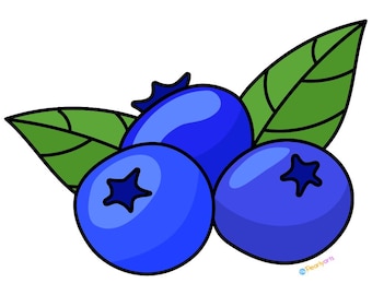 Blueberry Cocktail Mix