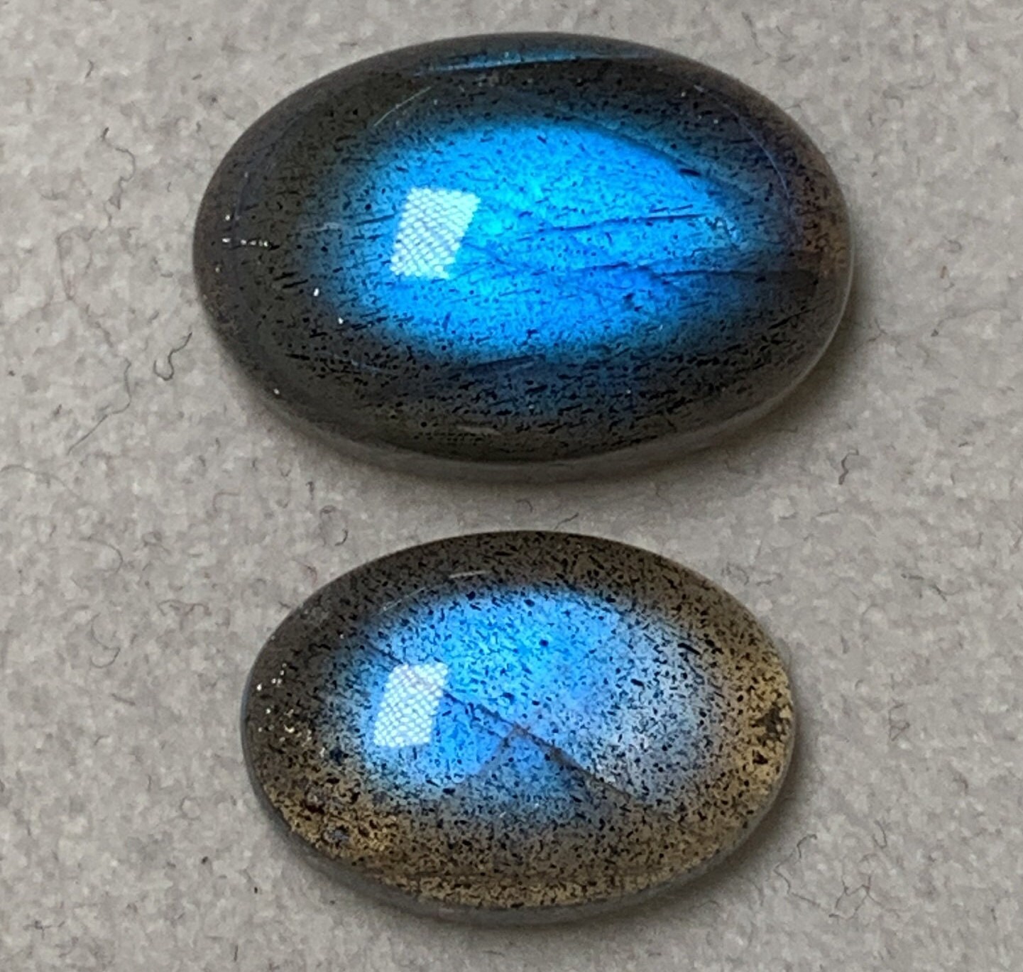 ぶるーず Amazon.co.jp: Oball Go Grippers カーゴジェット (10938) by