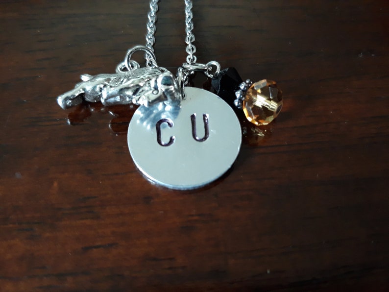 Silver Stainless Steel Necklace University of Colorado Charms University of Colorado Boulder Necklace