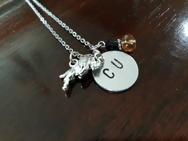 Silver Stainless Steel Necklace University of Colorado Charms University of Colorado Boulder Necklace