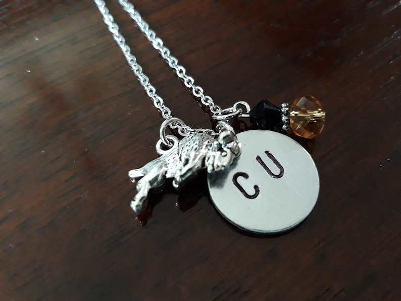 Silver Stainless Steel Necklace University of Colorado Charms University of Colorado Boulder Necklace