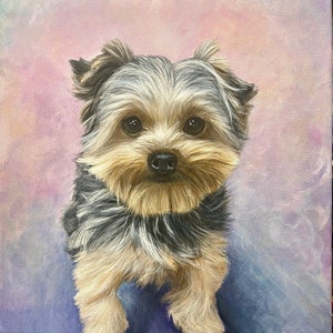 Custom Pet Portrait, Hand Painted with Acrylic Paint on Canvas