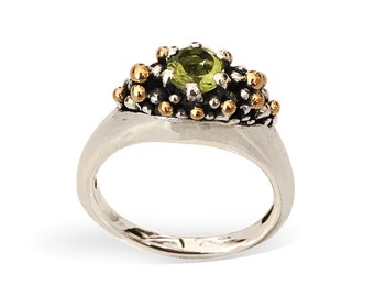 Contemporary Gemstone Ring, Silver and 18k Gold, Artisan Jewelry