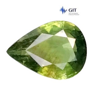 GIT CERTIFIED NATURAL SAPPHIRE_1.45Cts & 8.82 x 6.51 x 3.28 mm _ Yellowish Green Natural Sapphire Pear Shape Loose Gemstones / Sapphire ring
