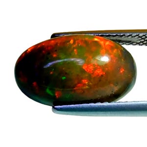 May include: A polished, oval-shaped black opal gemstone. The opal displays a play of color with vibrant red, green, and orange flashes. Held by silver tweezers, the gemstone is set against a white background.