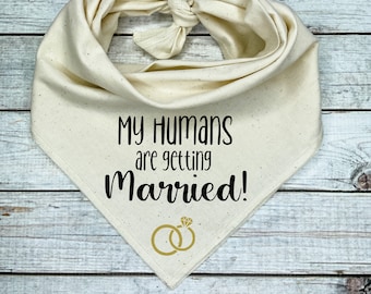 My Humans are getting Married with set of Gold Rings! Dog Bandana