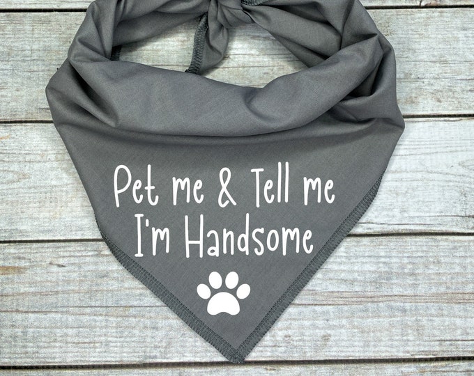 Pet Me & Tell Me I'm Handsome Dog Bandana