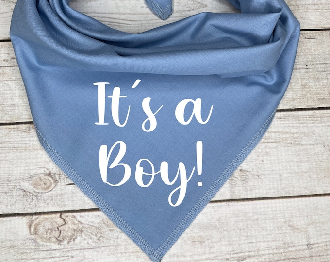 It's a Boy Dog Bandana, Pregnancy Announcement, Gender Reveal