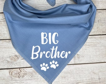 Big Brother Dog Bandana, Pregnancy Announcement