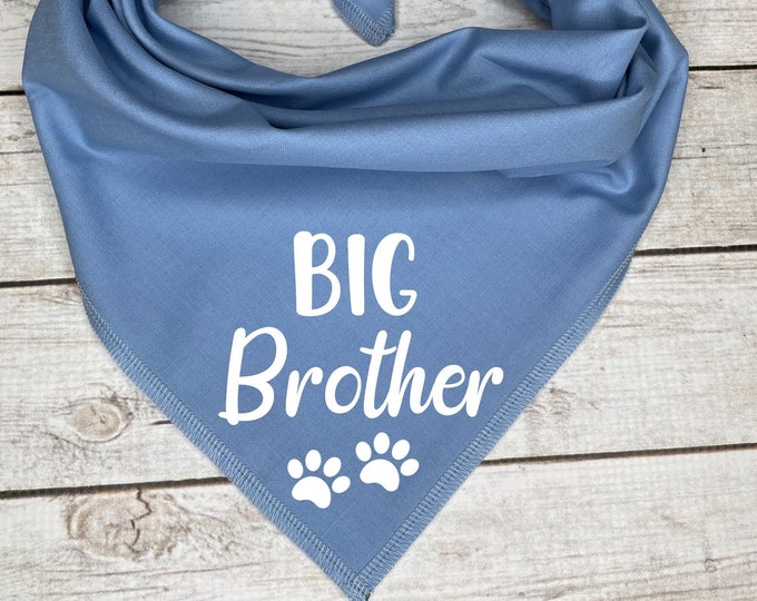 Big Brother Dog Bandana, Pregnancy Announcement