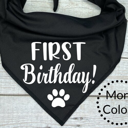 Its My 1st Birthday Rainbow Confetti Tieon Dog Bandana Etsy