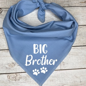 Big Brother Dog Bandana, Pregnancy Announcement