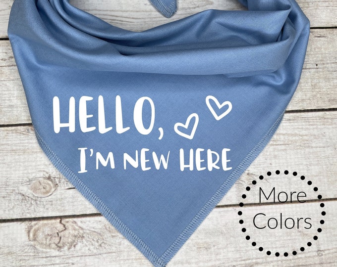 Hello I'm New Here Dog Bandana
