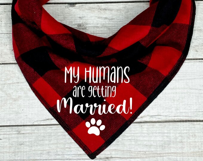 Getting Married Dog Bandana in Christmas Plaid
