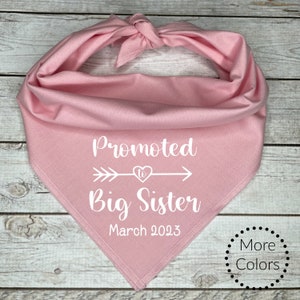 Promoted to Big Sister Dog Bandana with custom date, Pregnancy Announcement, Shower Gift