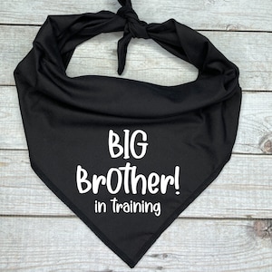 Big Brother in Training Dog Bandana, Pregnancy Announcement