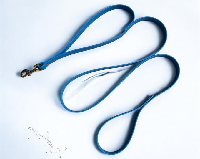 1"  BioThane® Dog Leash with Traffic Lead with Brass Hardware