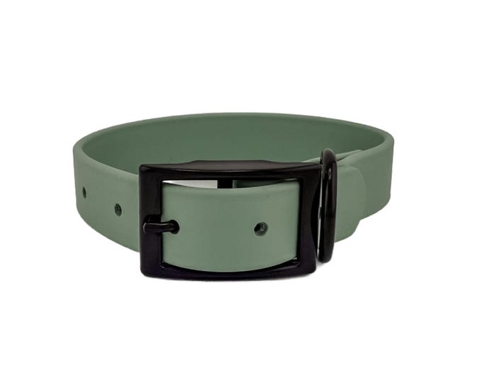 Sage Green Waterproof BioThane® Dog Collar 1"  – Durable, Odor-Free, Easy Clean, Soft Outdoor Pet Collar