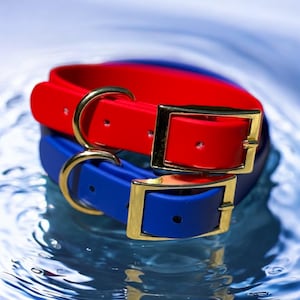 Luxury BioThane Dog Collar: Waterproof, Odor-Resistant, Gold Hardware
