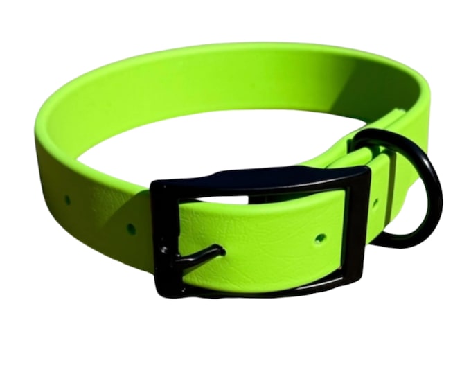 Green Waterproof BioThane® Dog Collar 1" – Durable, Odor-Free, Easy Clean Outdoor Pet Gear