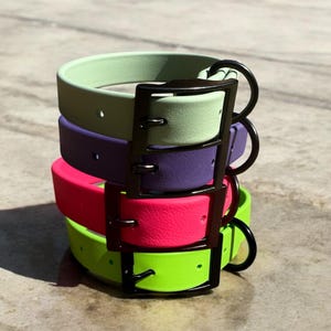 Custom BioThane Dog Collar 1&quot; - Waterproof, Stink-Proof - Black Hardware