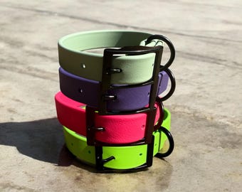 Custom BioThane® Buckle 1” Dog Collar – Waterproof, Stink-Proof & Durable | Choose Your Color | Black Buckle Hardware