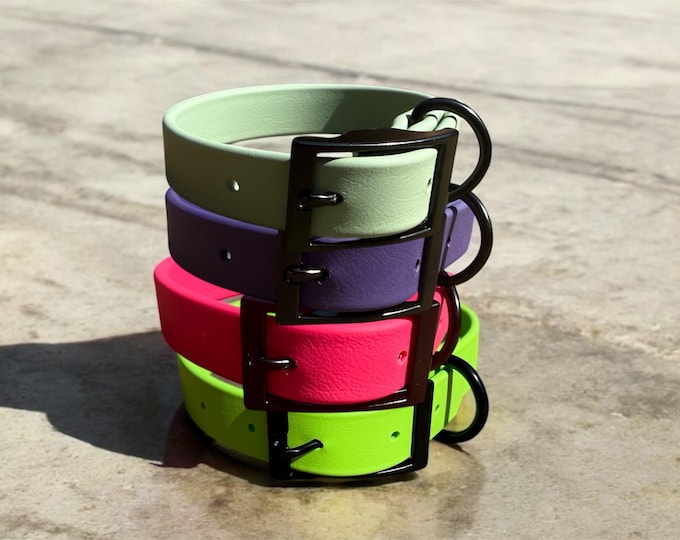 Custom BioThane® Buckle 1” Dog Collar – Waterproof, Stink-Proof & Durable | Choose Your Color | Black Buckle Hardware