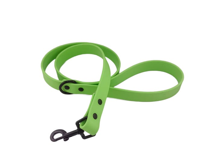 Green BioThane® Waterproof Dog Leash 3/4"