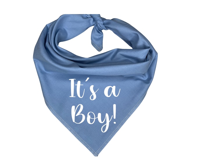 It's a Boy Dog Bandana, Pregnancy Announcement, Gender Reveal
