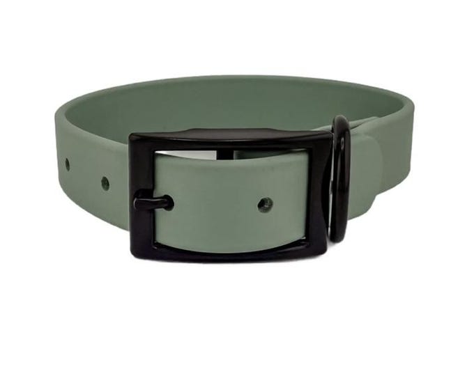 Sage Green Waterproof BioThane Dog Collar: Durable Outdoor Pet Collar