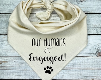 Engagement Photo Dog Bandana