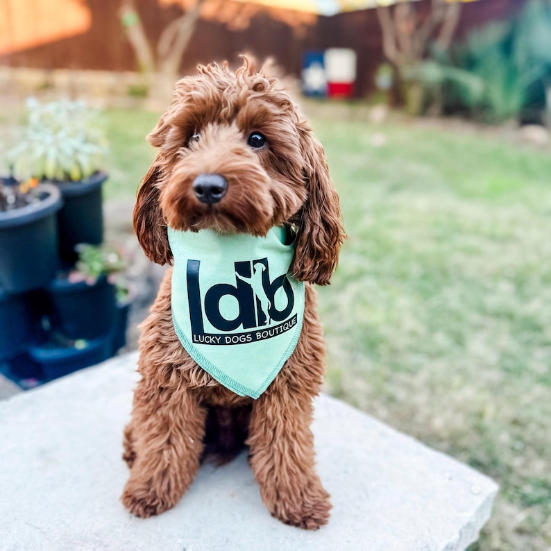 Custom Logo Dog Bandana - Branded Pet Accessory for Business Promotions image 5