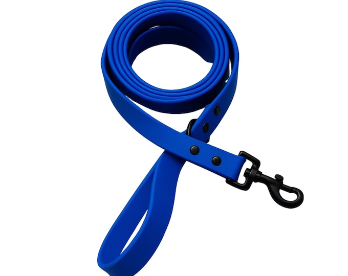 Blue BioThane® Waterproof Dog Leash 1"  Durable, Odor-Resistant, and Easy to Clean