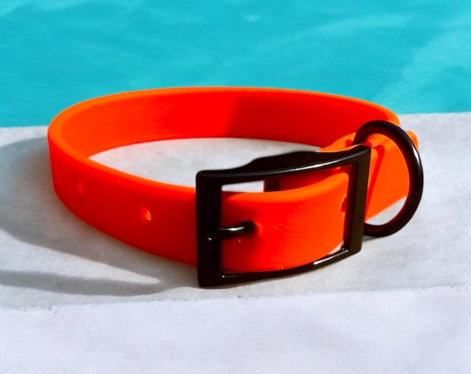 Vivid Orange Waterproof BioThane® Dog Collar 3/4"– Durable, Odor-Proof, Easy Clean, Outdoor Pet Gear