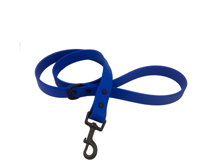 Blue BioThane® Waterproof Dog Leash 3/4" – Durable, Odor-Resistant, and Easy to Clean
