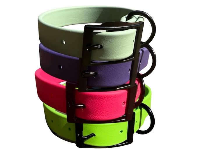 Custom BioThane Dog Collar 1" - Waterproof, Stink-Proof - Black Hardware
