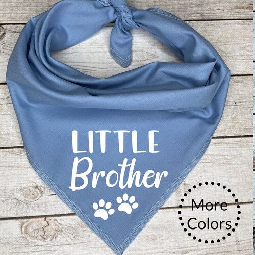 Big Brother Dog Bandana Pregnancy Announcement Etsy