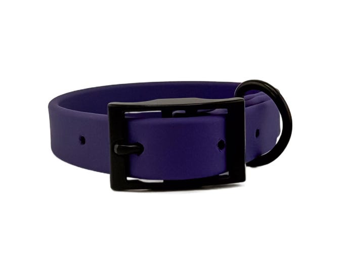 Purple Waterproof BioThane® Dog Collar 1 " – Durable, Odor-Resistant, Easy Clean, Pet Gear for Active Dogs