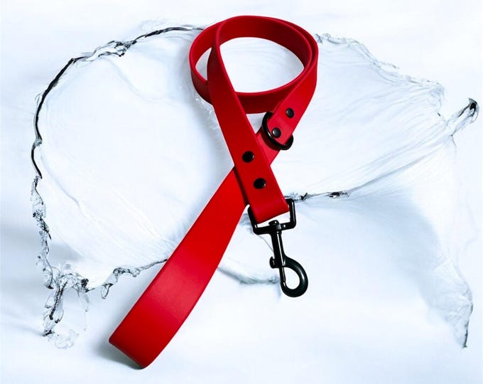 Red BioThane® Waterproof Dog Leash 1"