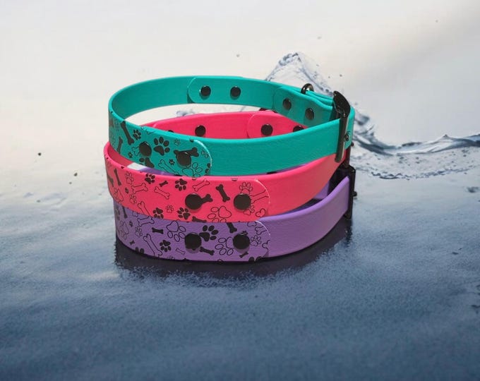 Printed BioThane® Dog Collar  Waterproof, Stink-Proof & Durable | 1 Wide | Fun Pattern + Solid | Black Hardware | 3 Color Options