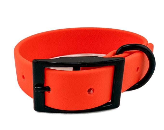Vivid Orange Waterproof BioThane® Dog Collar 1" – Durable, Odor-Proof, Easy Clean, Outdoor Pet Gear