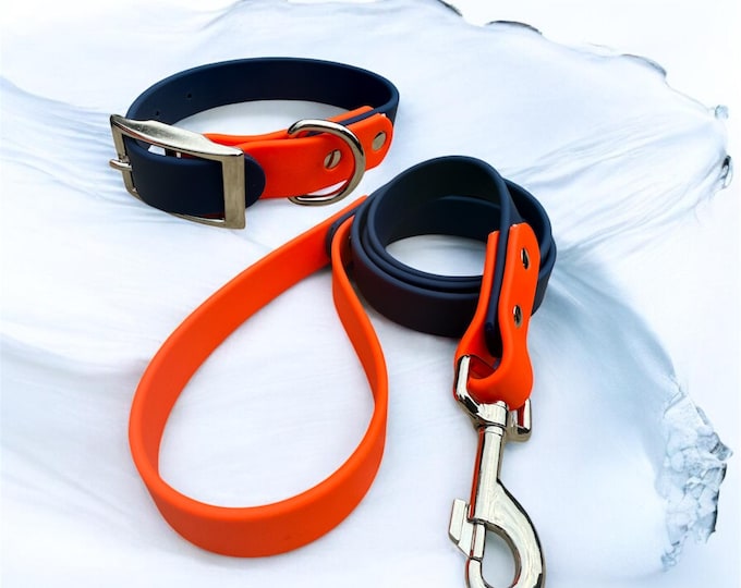 Two-Tone BioThane Dog Collar & Leash Set: Waterproof, Stink-Proof Walking Gear