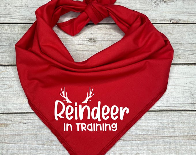 Reindeer in Training Dog Bandana, Pet Stocking Stuffer