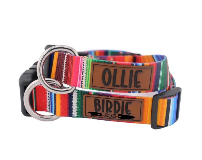Personalized Dog Collar with Engraved Name with Matching Leash