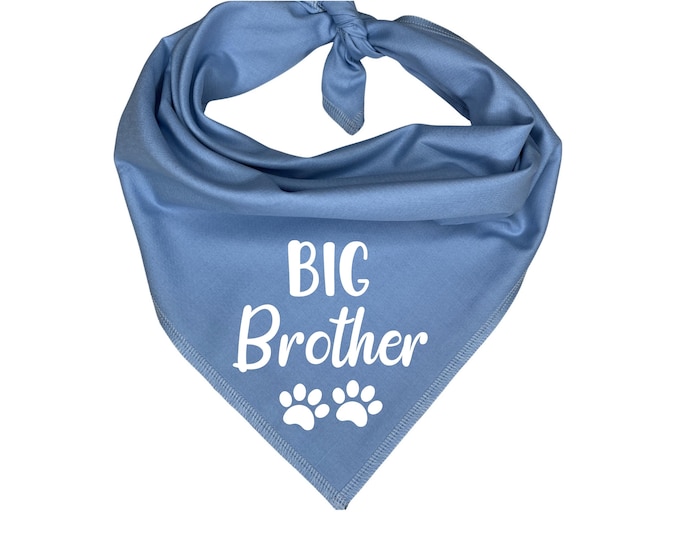 Big Brother Dog Bandana, Pregnancy Announcement