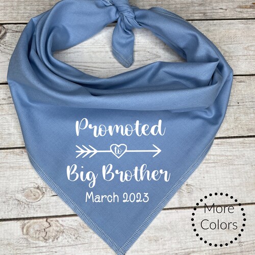 Big Brother Dog Bandana Etsy