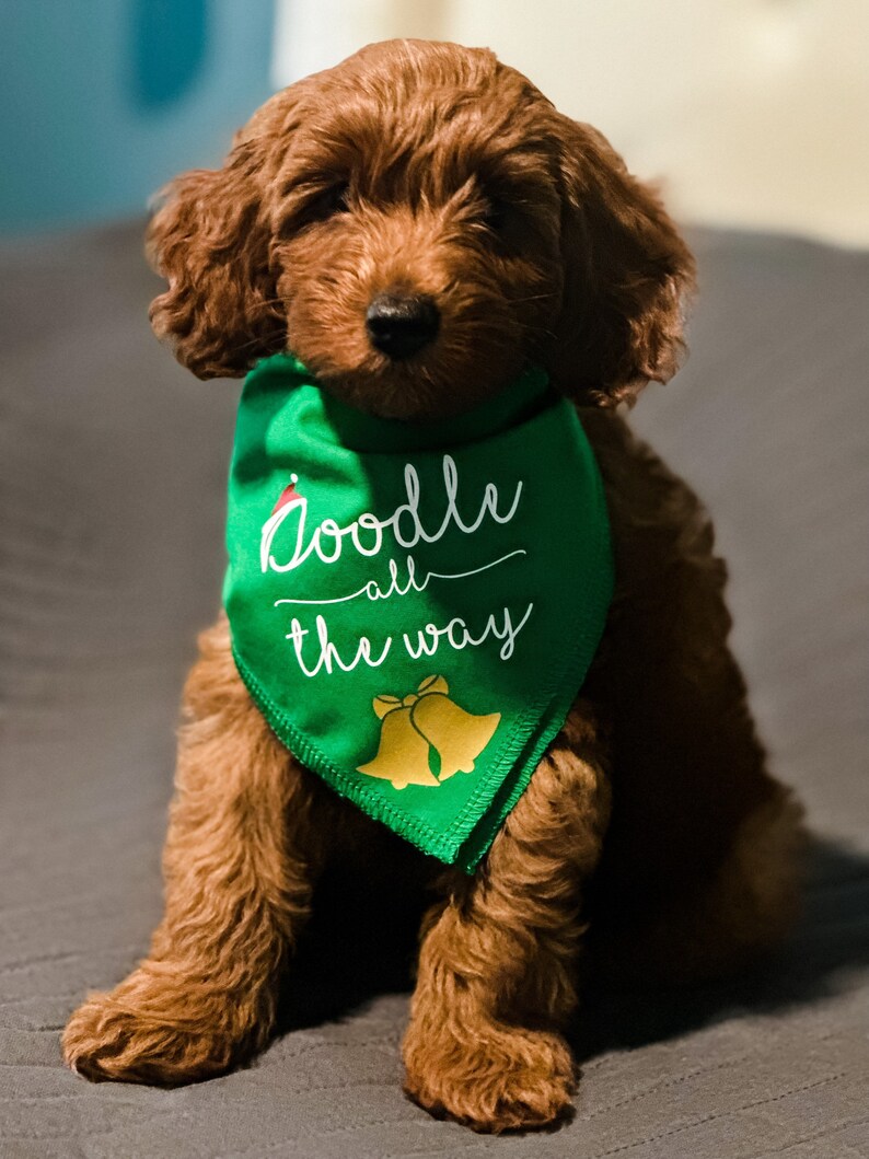 Doodle All the Way Dog Bandana - Etsy