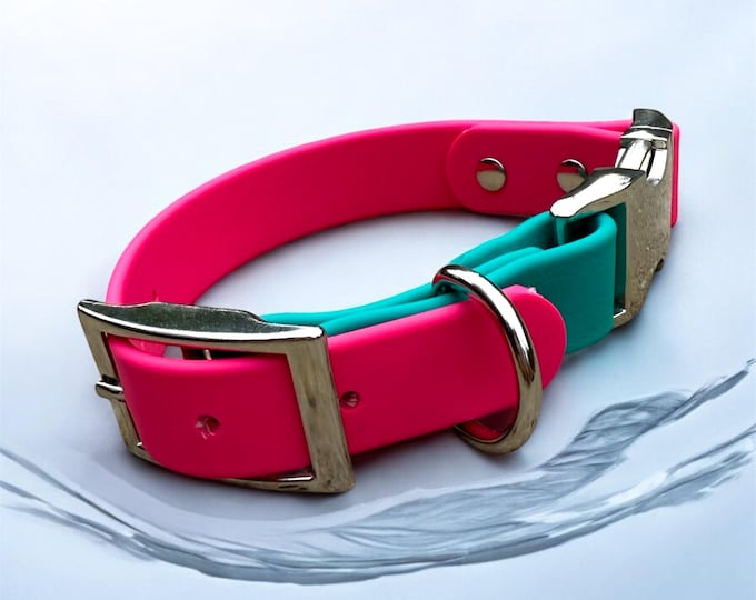 Custom Two-Tone BioThane Dog Collar: Waterproof Quick Release, Nickel Buckles